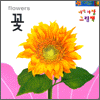  ׸å - (flower) (Ŀ̹)