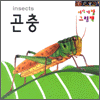  ׸å - (insect) (Ŀ̹)